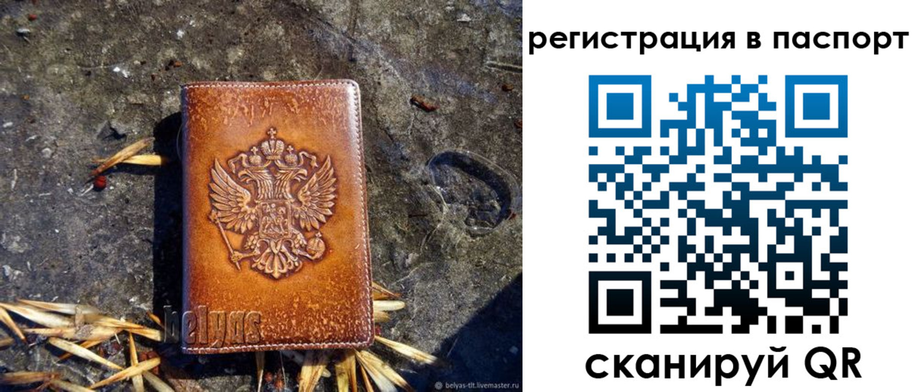 временная регистрация гарантия в Дубне